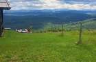 Teren Premium Intravilan ?uncuiu? (Pojorata) Panorama superba, padure - 8