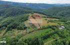 Teren 5600mp | Copalnic-Manastur TOATE UTILITATILE PE PROPRIETATE