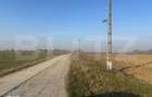 Ferma de nuci - teren agricol, zona Ivesti - 4