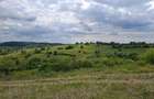Teren de vanzare Ro?ia, Bihor - 9