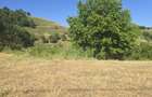 15 Hectare teren la munte ?inutul Padurenilor - 2