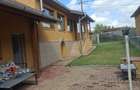 Se vinde casa in Craciunelu de jos - 2