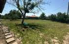 Teren intravilan de vanzare 1000 mp, Comuna Unirea, Calara?i langa parc, cu pomi fructiferi, pu? - 4