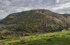 Teren 10.000 mp- Zona Montana Salbatica (Valea Mare Prava?-AG) , Panorama Iezer-Papu?a
