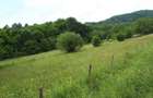 Vand teren intravilan pentru constructie locuinta in Brad jud. HD - 7