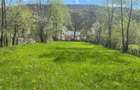 Vand teren Valea Doftanei - 6