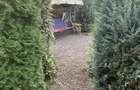 7 Noiembrie, casa fb. cu 5 camere, 704 mp teren - 5