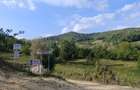 Vand teren intravilan/extravilan - 3