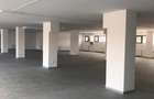 Spațiu comercial 612 mp/ Terasă/ 10 parcări/ Ideal showroom/ Clinică - 4
