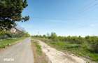 CORBEANCA - FICUSULUI, TEREN CONSTRUCTII, 13944 MP! - 10