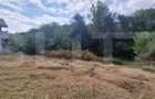 Teren intravilan, 900 mp, 20 ml front, zona Bucovat