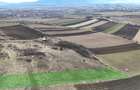 Teren extravilan 4500mp cu autorizatie adapost agricol in Gusterita - 3