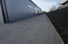 Hala 480 Mp Centura Pantelimon Platforma Betonata 800 Mp Curte proprie - 4