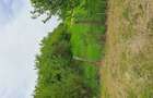 Vand teren intravilan - 2