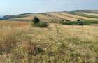 Teren 5000 mp la Tureni Cluj - 9