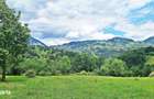 Teren de 1000mp in Bran, satul pitoresc Pestera - 3
