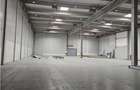 Spatiu Industrial - 3300 mp - Logistica - Productie - Depozitare - Distributie - 2