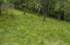 Vand teren extravilan comuna Barbatesti, Valcea, zona PARC NATIONAL!!! - 3