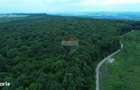 Teren 95,000mp Serbauti / Strada Principala