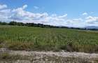 Teren agricol extravilan Podu Oltului la limita UAT Harman si UAT Prejmer (Lunca Calnicului) 2 euro mp - 6