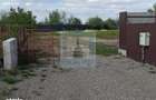 Teren intravilan, 800 mp - zona Prejmer