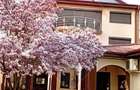 Vila individuala P+1+M de vanzare Cartierul Andronache - 5