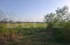 Teren extravilan de vanzare, 5000 mp, zona Viisoara - 3