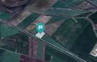 Teren 22.500 mp – Pecica, jud. Arad - 11