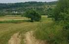 Laschia, 6 ha teren - Laschia (Maramures) - 2