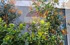 3 camere Timpuri Noi | Loc de parcare - 8