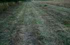Teren agricol de vanzare, acces asfaltat - 2