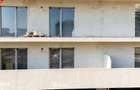 #TVA inclus: Studio la mare - Signature Promenada, Mamaia Nord - 6