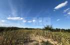 Teren intravilan Voitinel | 6.355 mp