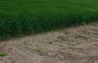 9.23hectare extravilan sendreni