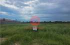 Teren Intravilan, Ovidiu, Spre Poiana,3 loturi de 302 mp fiecare - 3