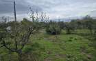 Vadu-Exclusivitate, casa 75mp, teren 1917 mp/31ml deschidere, centru - 13