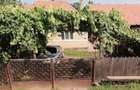 Casa de caramida 120 mp cu teren intravilan 32 arii de vanzare construc?ie 1960 cu actele la zi! - 10