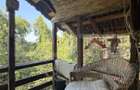 Casa P+M, 777 mp teren, Breasta - 4