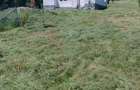 Teren 1.142 mp Sigmir-Extravilan la limita cu Intravilan, scos din circuit agricol, Utilitati+fundatie 99 m - 2