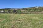 Teren de 2500 mp, în Sfăcăru