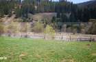 Teren intravilan in Vatra Dornei, 1299 mp - 2