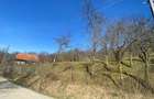 Livada cu pomi fructiferi, teren intravilan la 50 km de Cluj-Napoca - 10