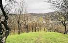 Vand teren intravilan, zona de munte superba!