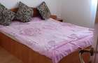 Apartament 2 camere decomandat de inchiriat - 4