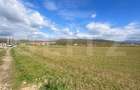 Teren Extravilan in Apropiere de Jelna 25.800 mp, cu Utilitati - 1