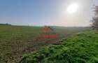 Teren extravilan in Urleta--5000m--18.500e