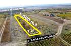 VIDEO | Teren intravilan cu livada – 1.000 m² in Ardud-Vii, cu view spectaculos!