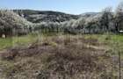 Teren intravilan in localitatea Criseni in suprafata de 2700 mp - 3