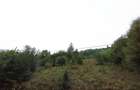 Proprietar-Vand doua terenuri, unul de 7.100 mp, celalalt de 25.000 m2 - 3