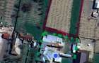 Teren intravilan 1300 mp toate utilitatile sat Tamasi - 1